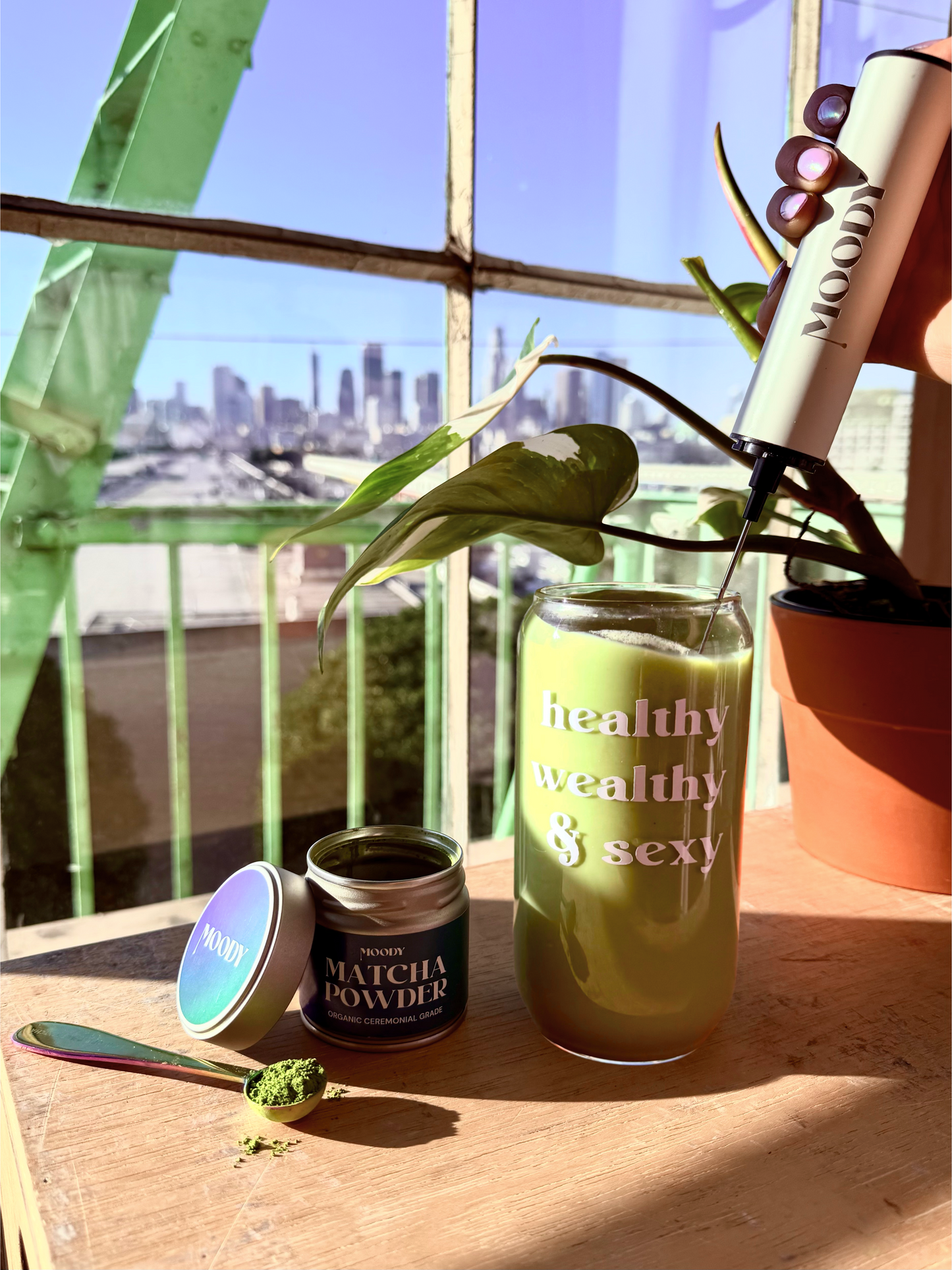 Moody Mixer: White Double-Headed Electric Handheld Frother